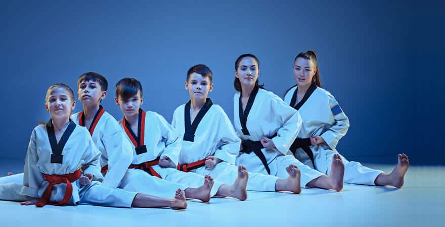 Martial Arts Lessons for Kids in Dolton IL - Kids Group Splits