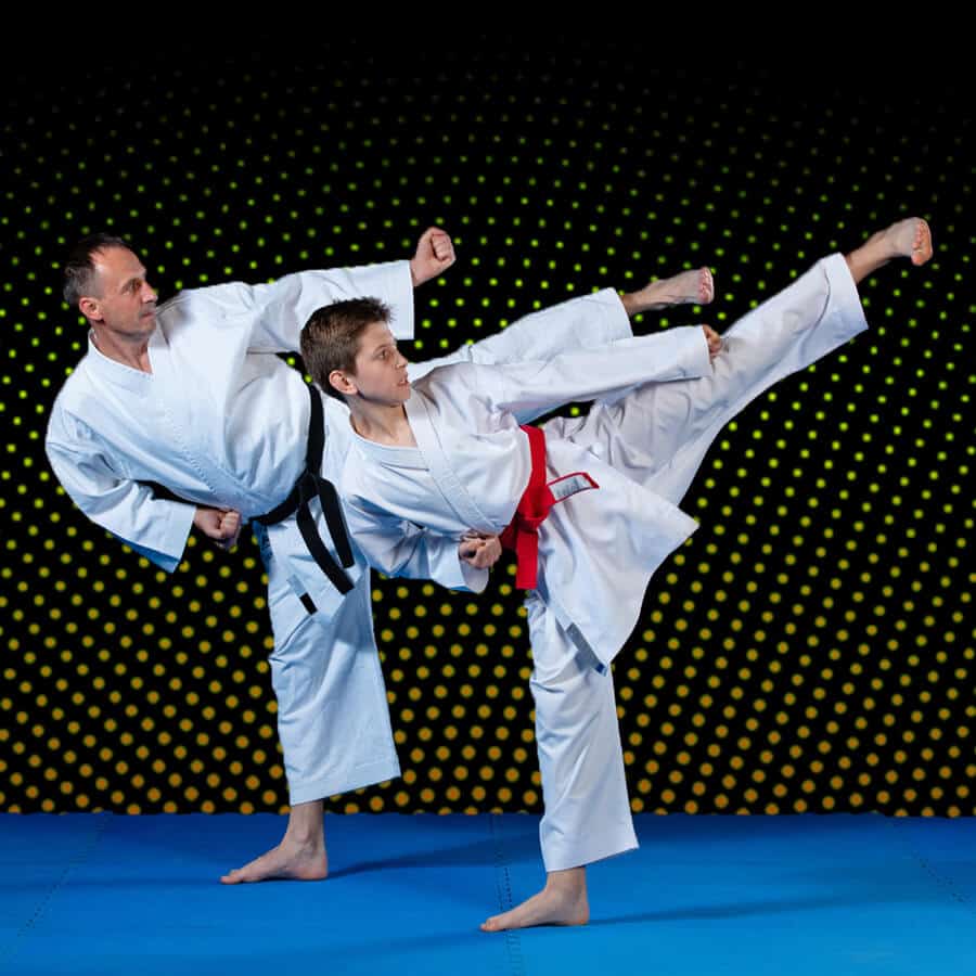Martial Arts Lessons for Families in Dolton IL - Dad and Son High Kick