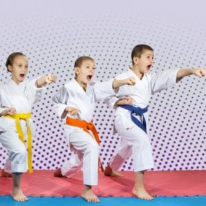 Martial Arts Lessons for Kids in Dolton IL - Punching Focus Kids Sync