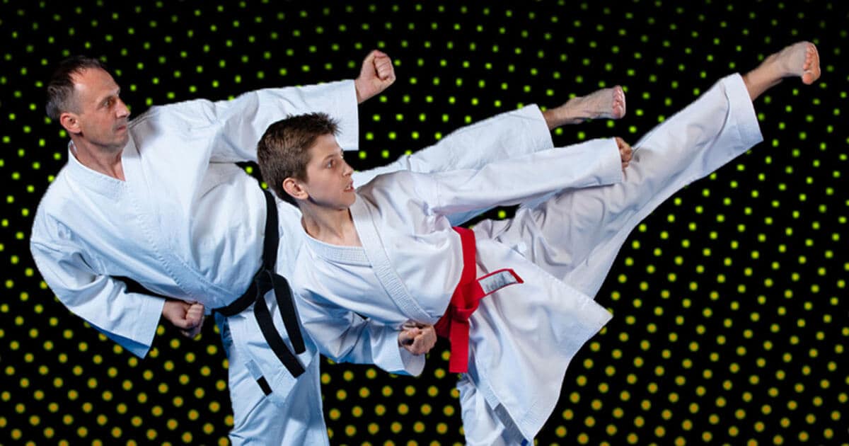 About Martial Arts Lessons in Dolton, IL Just For Kicks Martial