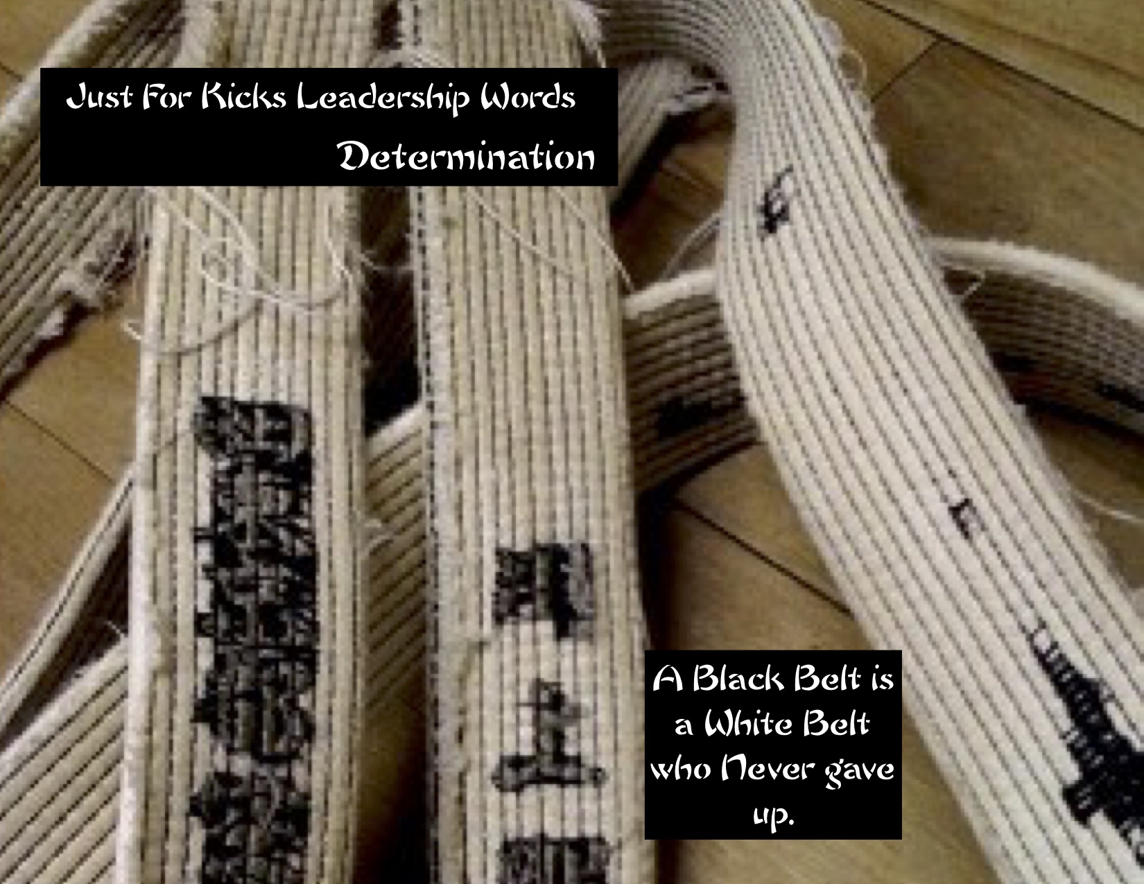 CONTACT US Martial Arts Lessons in Dolton, IL Just For Kicks